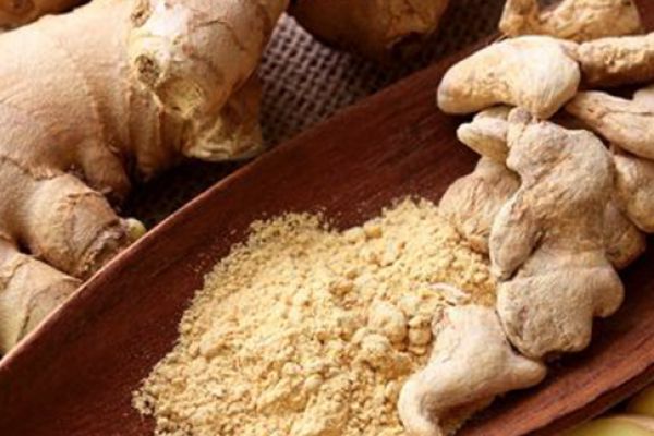 الزنجبيل.. توابل وعلاج