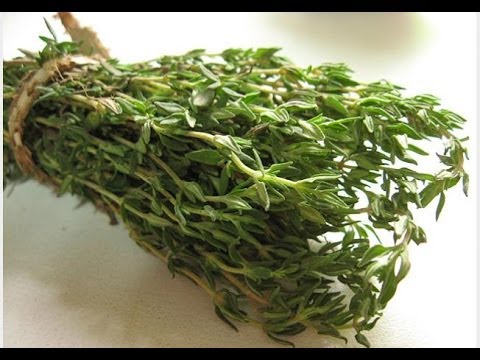 الطبيعة لعلاج الربو!